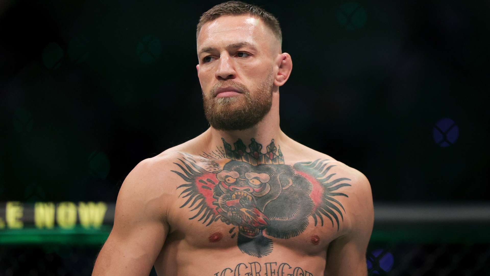 前做好观看 前做好观看